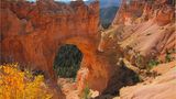 Canyon