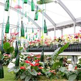 Mit Pflanzen um die Welt