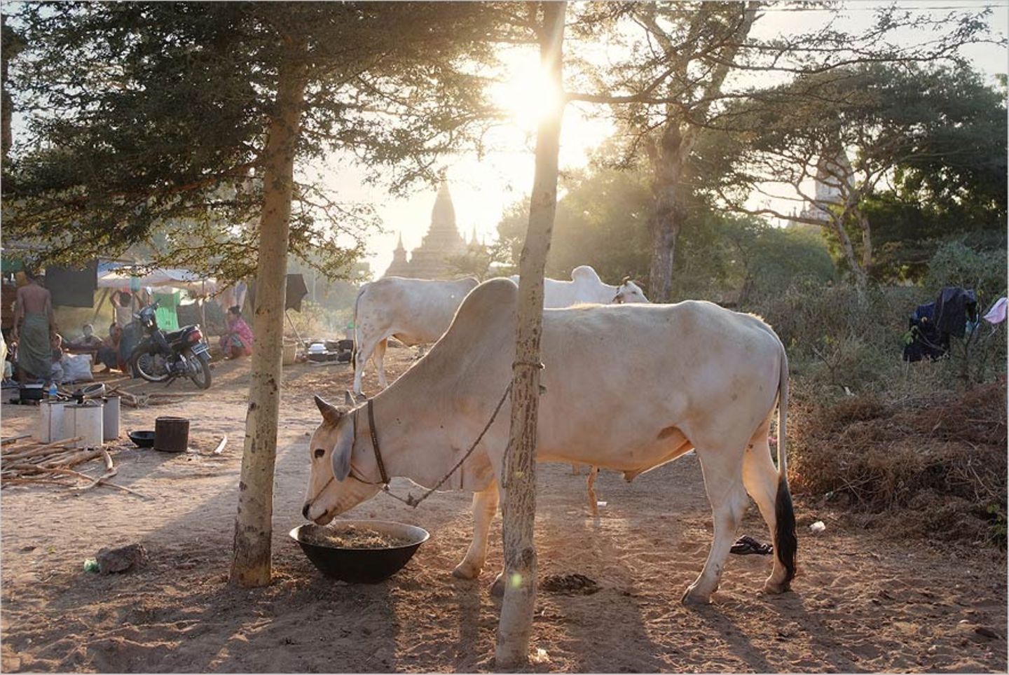 Bagan