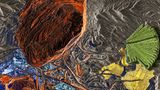 Plants of the bleeding Earth