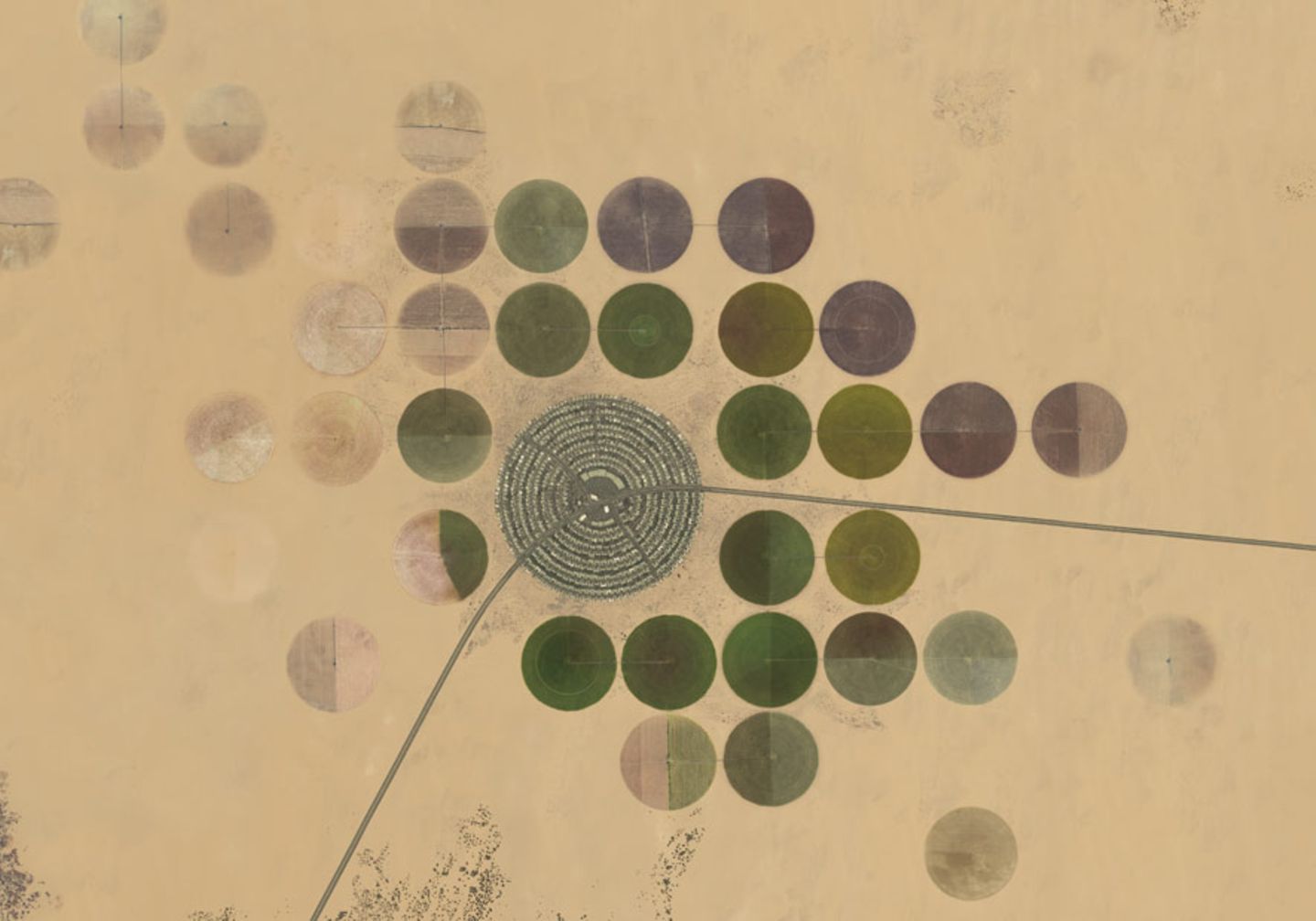 Desertification