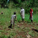 Hoffnung für Waisenkinder in Uganda - Bild 8