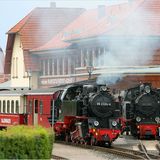 Reisen wie zu Uromas Zeiten: die Kleinbahn "Molli" in Kühlungsborn