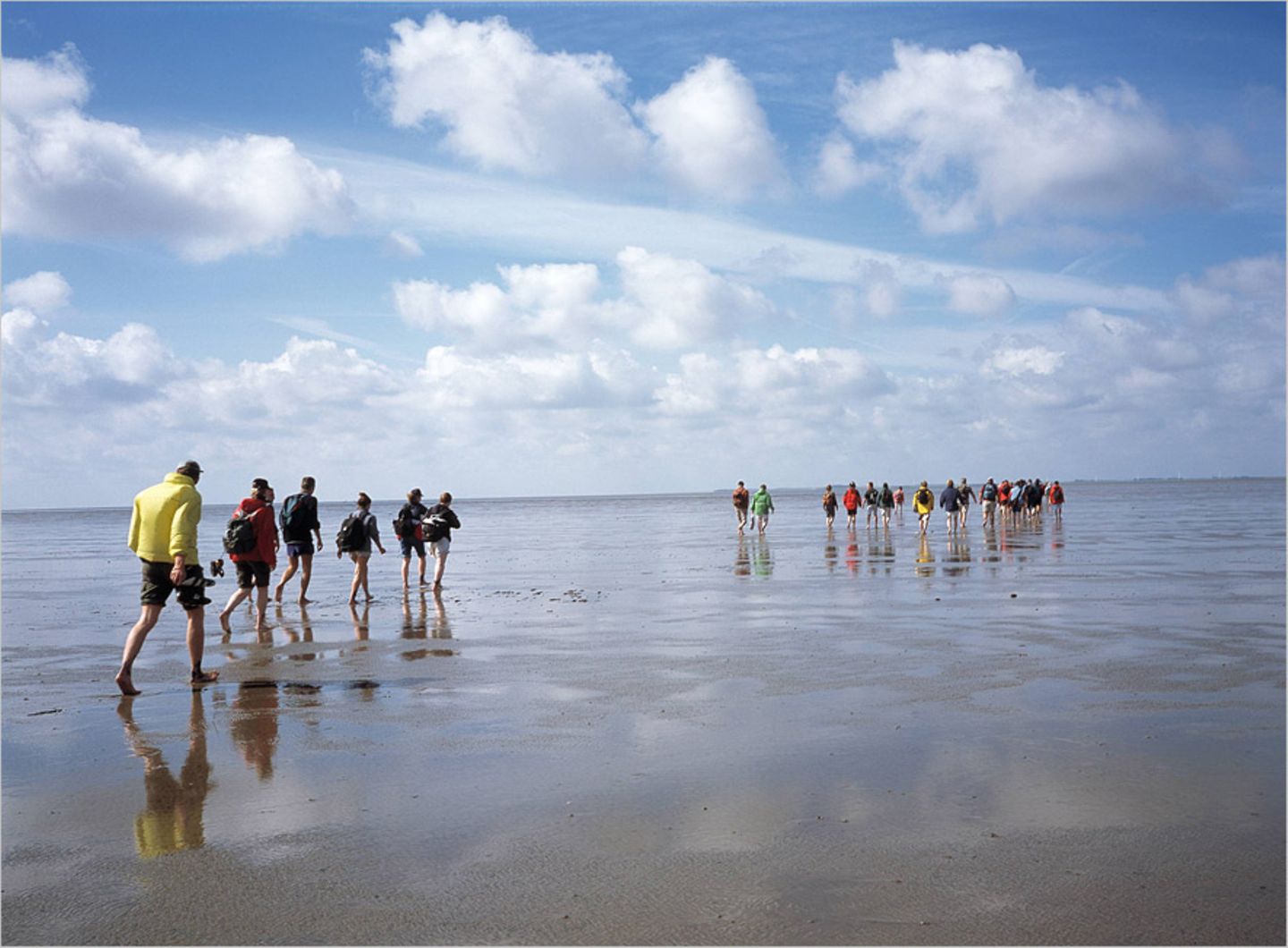 Ab ins Watt: die Insel Föhr