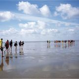 Ab ins Watt: die Insel Föhr