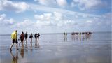 Ab ins Watt: die Insel Föhr