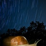 Die besten Naturfotografien 2013