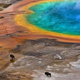 Die besten Naturfotografien 2013