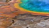 Die besten Naturfotografien 2013