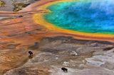 Die besten Naturfotografien 2013