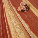 Die besten Naturfotografien 2013