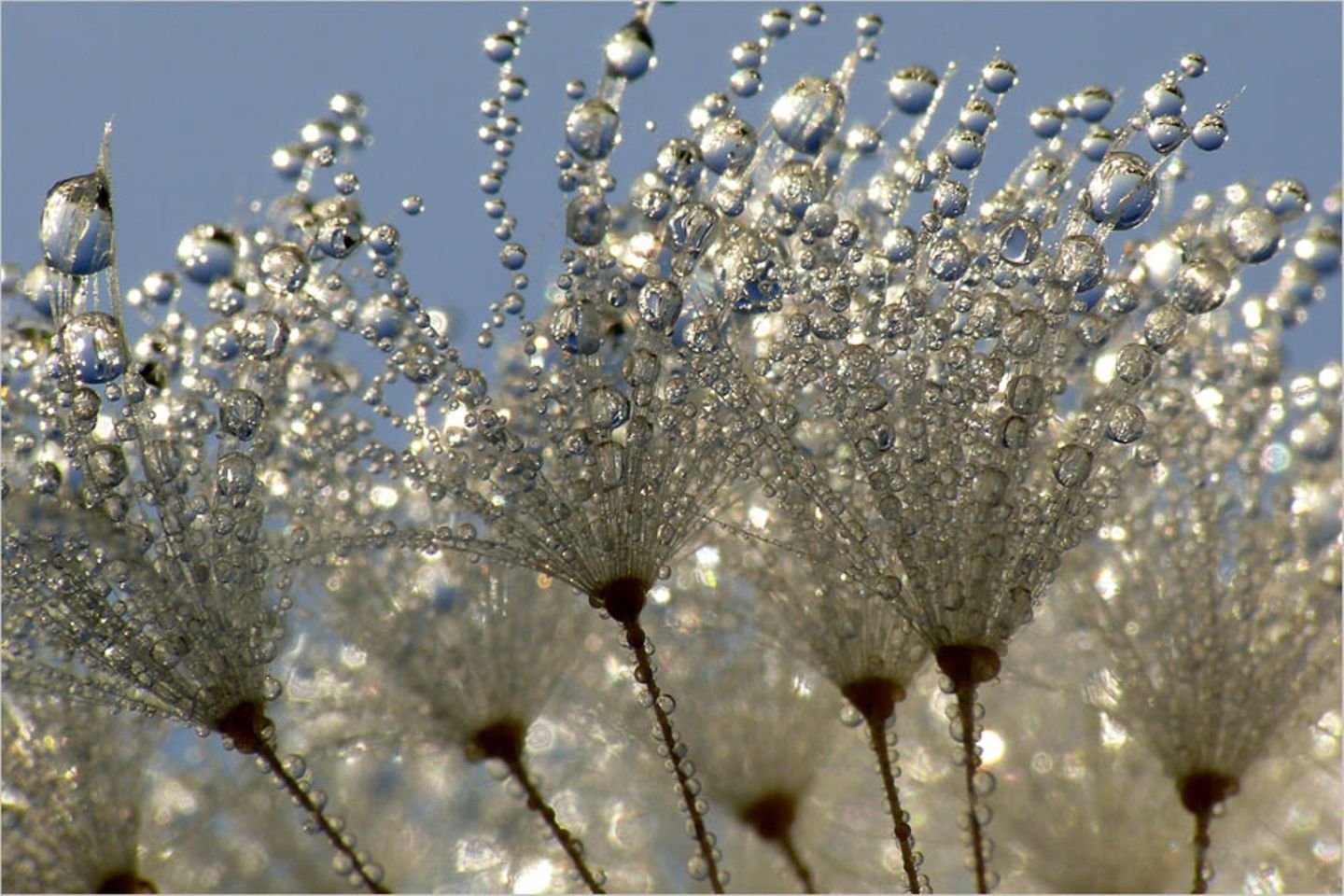 Die besten Naturfotografien 2013
