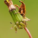 Die besten Naturfotografien 2013