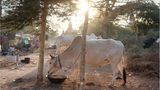 Fotogalerie: Burma im Wandel - Bild 5