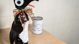 Upcycling: Pinguin aus Flaschen