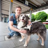 Blindenhunde: Gespann mit guter Führung