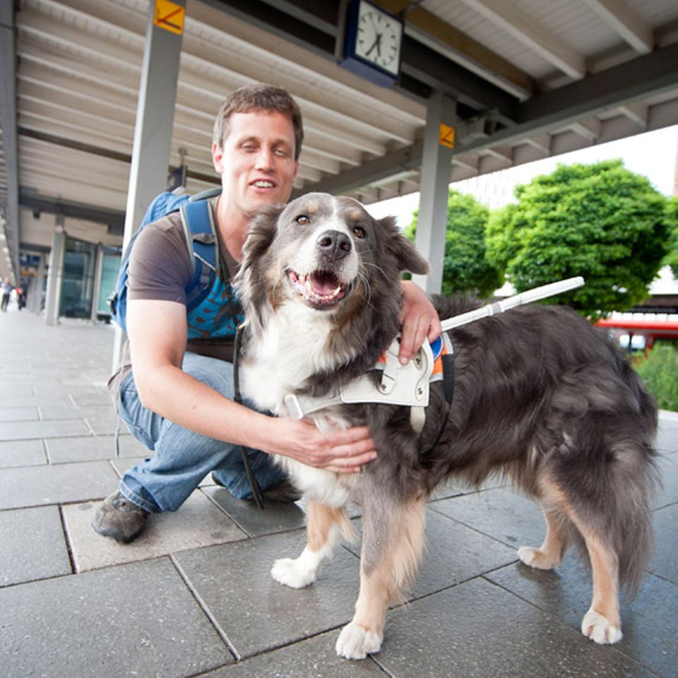 Blindenhunde: Gespann mit guter Führung