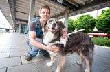 Blindenhunde: Gespann mit guter Führung