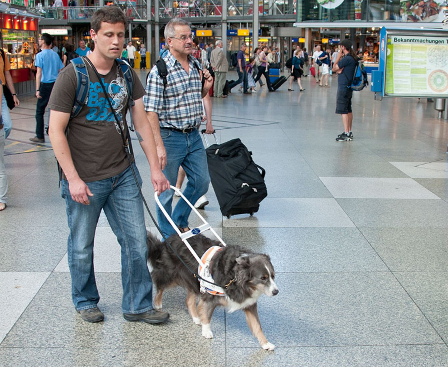 Hunde: Blindenhunde: Gespann mit guter Führung - Bild 4