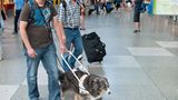Hunde: Blindenhunde: Gespann mit guter Führung - Bild 4
