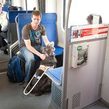 Hunde: Blindenhunde: Gespann mit guter Führung - Bild 5