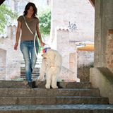 Hunde: Blindenhunde: Gespann mit guter Führung - Bild 6