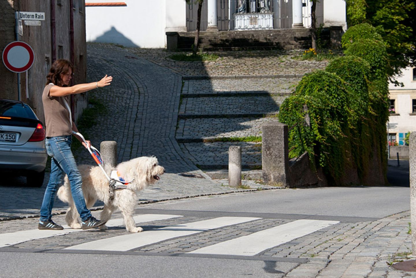 Hunde: Blindenhunde: Gespann mit guter Führung - Bild 7