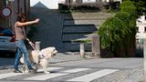 Hunde: Blindenhunde: Gespann mit guter Führung - Bild 7