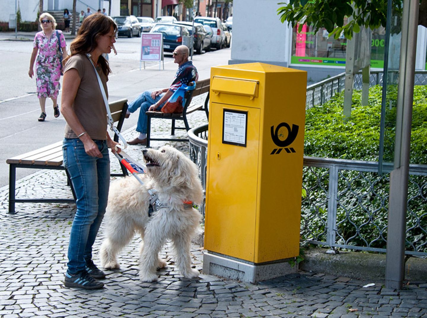 Hunde: Blindenhunde: Gespann mit guter Führung - Bild 9