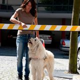 Hunde: Blindenhunde: Gespann mit guter Führung - Bild 11