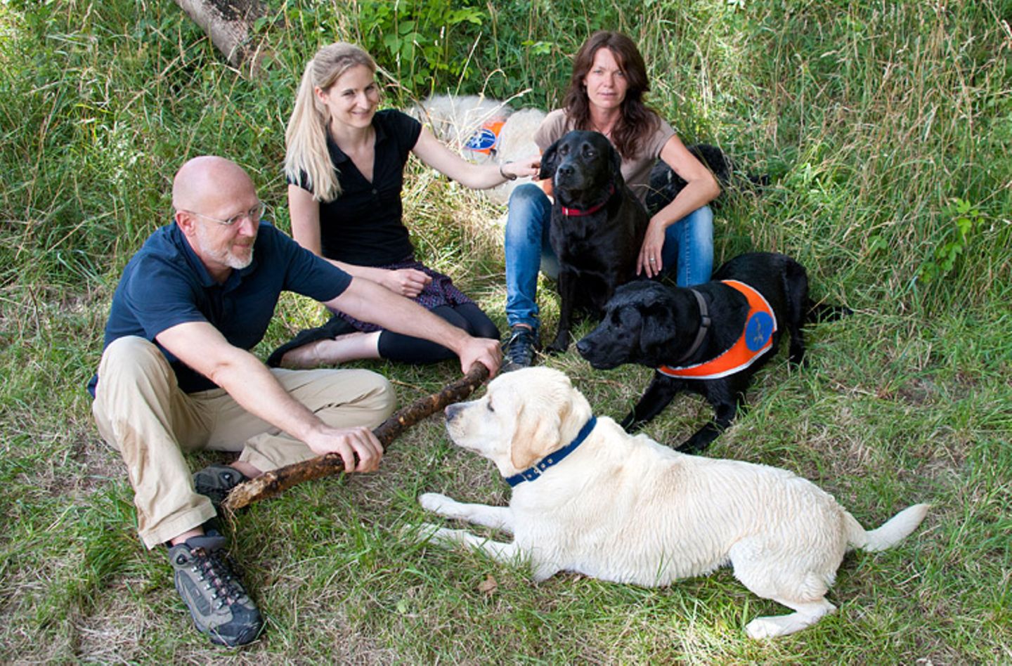 Hunde: Blindenhunde: Gespann mit guter Führung - Bild 14