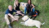Hunde: Blindenhunde: Gespann mit guter Führung - Bild 14