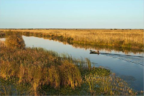 Fotogalerie: Eine Fahrt durchs Donaudelta