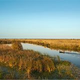 Eine Fahrt durchs Donaudelta