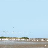 Treffpunkt Schwarzmeerküste