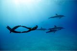 Apnoe-Tauchen: "Freediven fördert die mentale Stärke"
