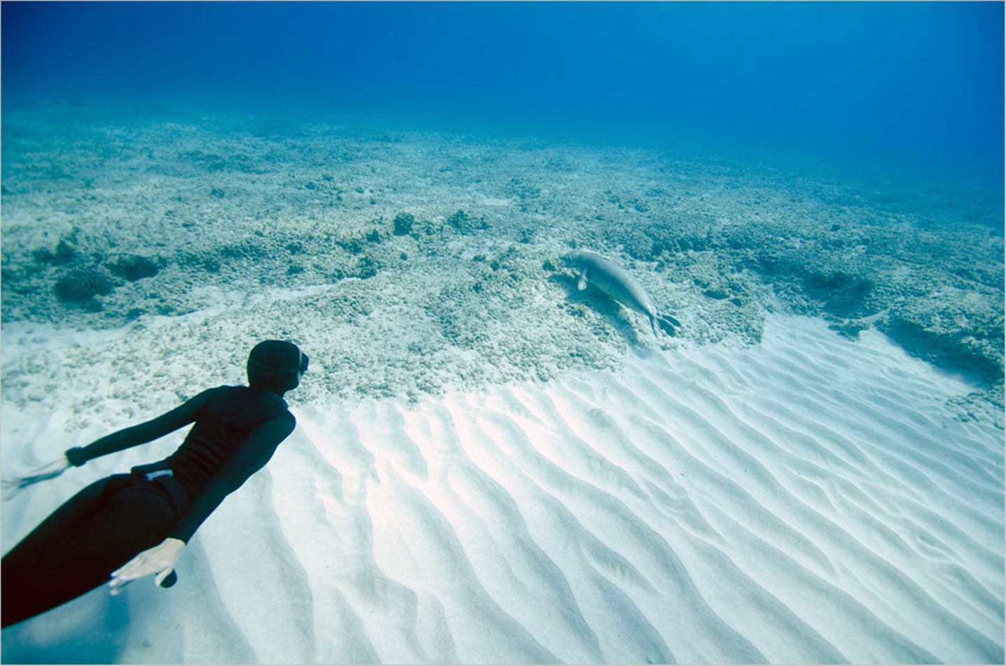Apnoe-Tauchen: "Freediven fördert die mentale Stärke" - Bild 9