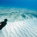 Apnoe-Tauchen: "Freediven fördert die mentale Stärke" - Bild 9