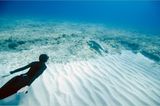 Apnoe-Tauchen: "Freediven fördert die mentale Stärke" - Bild 9