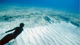 Apnoe-Tauchen: "Freediven fördert die mentale Stärke" - Bild 9