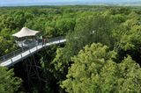 Pausenstopp: Der Baumkronenpfad im Nationalpark Hainich