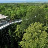 Pausenstopp: Der Baumkronenpfad im Nationalpark Hainich