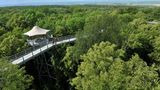 Pausenstopp: Der Baumkronenpfad im Nationalpark Hainich