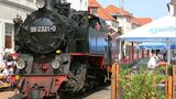 Zwischstopp: eine Dampflokfahrt mit der Molli in Kühlungsborn