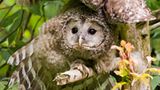 Fotogalerie: Biologische Vielfalt - Bild 2