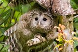 Fotogalerie: Biologische Vielfalt - Bild 2