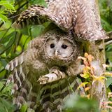 Fotogalerie: Biologische Vielfalt - Bild 2