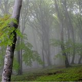 Fotogalerie: Biologische Vielfalt - Bild 3