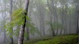 Fotogalerie: Biologische Vielfalt - Bild 3