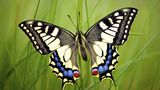 Fotogalerie: Biologische Vielfalt - Bild 5